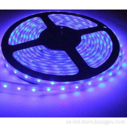 LED Soft Strip 600Led/roll 3528 SMD Factory Directly